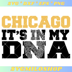 Chicago Its In My DNA Svg, Chicago Love Svg, USA Map Svg