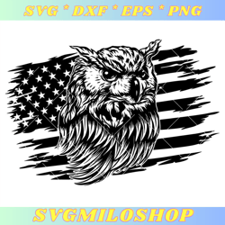 Owl with US Flag Svg, American Flag Svg, USA Patriotic Svg