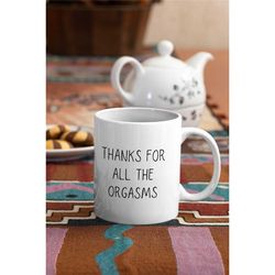 Thanks For All The Orgasms  Couple Mug Gift  Gift for Him  Valentines Gift  Boyfriend Girlfriend Gift Funny Gift fo