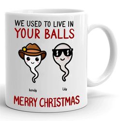 personalized we used to live in your balls merry christmas mug, custom kid name mug for dad, christmas mug gift for fath