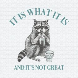 Raccoon It Is What It Is And It Is Not Great PNG
