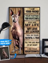 Xoloitzcuintli Personalized Poster & Canvas, Dog Canvas Wall Art, Dog Lovers Gifts