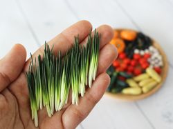 Miniature Green Onion 1:12 Miniature Vegetables Miniature onion Miniature farmer Realistic miniatures food for dolls