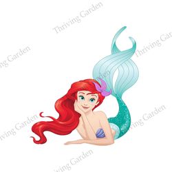 Beauty Little Mermaid Ariel Princess Disney PNG