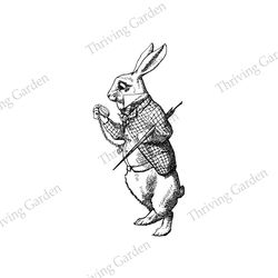 The White Rabbit With The Pocket Watch SVG