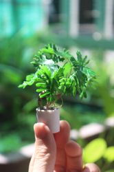Miniature Philodendron selloum made from clay