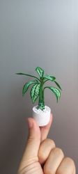 Miniature Dieffenbachia amoena plant made from clay