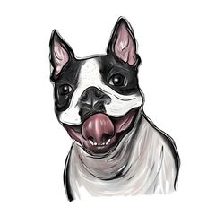 Boston Terrier Sublimation Png, Watercolor Boston Terrier Png, Cute Boston Terrier Png, Hand Drawing Png, Dog Png