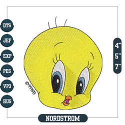 Tweety Bird Face Embroidery, Embroidery Design