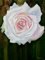 The big rose Original oil painting Flowers fine art