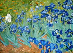 Irises van Gogh's painting Flowers oil painting