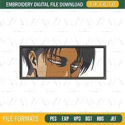 AOT Levi Ackerman Eyes Embroidery Design png