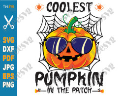 Coolest Pumpkin In The Patch SVG PNG Halloween Thanksgiving Autumn Fall SVG Cut Baby Boy Cricut T shirt