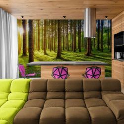 Wallpaper Murals For Small Spaces - Trees During Daytime