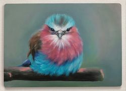 Bird Painting Lilac Breasted Roller Oil Painting Original Small Art 5.7x8.2 in