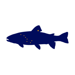 alaska state shaped trout sticker self adhesive vinyl cinyl ak fly fishing fish - c5239
