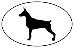 Doberman Pinscher Euro Oval Sticker Self Adhesive Vinyl dog canine - C663
