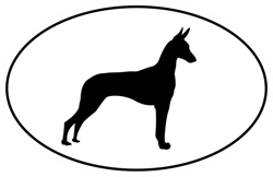 Pharoh Hound Euro Oval Sticker Self Adhesive Vinyl dog canine pet - C693