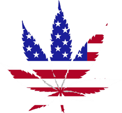American Flag Weed Marijuana Leaf Sticker Self Adhesive Vinyl 420 hemp USA US America - C3967
