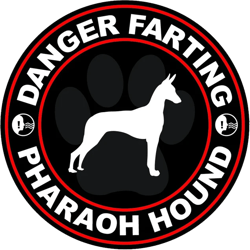 Danger Farting Pharoh Hound Sticker Self Adhesive Vinyl dog canine pet - C691