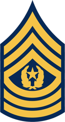 E-9 Command Sergeant Major Insignia Sticker Self Adhesive Vinyl us army - C2047