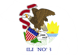 Illinois State Shaped Bear Flag Sticker Self Adhesive Vinyl Outdoors Wilderness IL - C4907