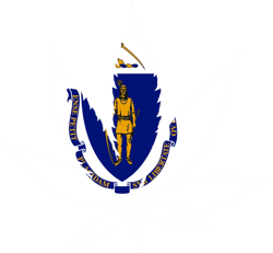 Massachusetts Flag Weed Marijuana Leaf Sticker Self Adhesive Vinyl 420 hemp - C3341
