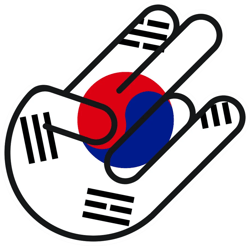 south korean shocker sticker self adhesive vinyl korea - c304