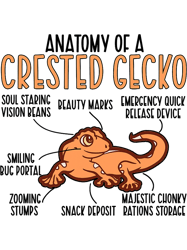 Gecko Lover Anatomy Of A Crested Gecko Owner Crestie Lover