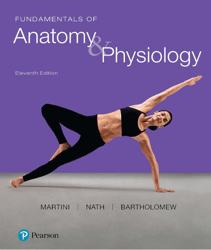 Fundamentals of Anatomy & Physiology, 11th edition Frederic H Martini, Judi L. Nath, Edwin F. Bartholomew Test Bank