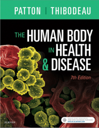 Test Bank For The Human Body in Health & Disease 8th Edition Kevin T. Patton