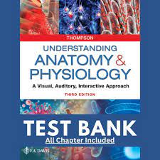 Test Bank For Understanding Anatomy & Physiology A Visual,Auditory,Interactive Approach 3rd edition