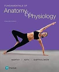 Test Bank For Fundamentals of Anatomy & Physiology, 11th edition