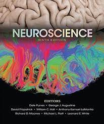 Latest 2023 Neuroscience 6th Edition by Purves Test bank