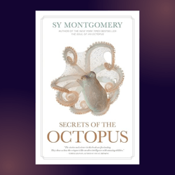 Secrets of the Octopus by Sy Montgomery