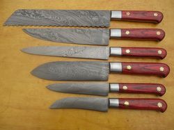 custom made chef & kitchen knife set damascus steel balde 6 pcs set