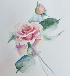Watercolor painting of a delicate rose