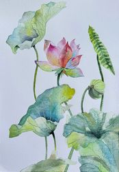 Watercolor painting of flowers. Watercolor lotuses