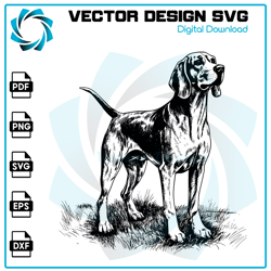 American Foxhound SVG, Foxhound vector, Foxhound, Dog SVG, Vector, SVG, Digital Files 1