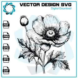 Flower SVG, Anemone SVG, Anemone Flower SVG, Anemone Vector, SVG, Digital Files 2