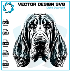 Bloodhound SVG, Dog SVG, Bloodhound PNG, Bloodhound vector, Bloodhound, Vector, SVG, Digital Files 1
