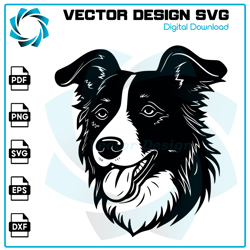 Border Collie SVG, Dog SVG, Border Collie PNG, Border Collie vector, Border Collie, Vector, SVG, Digital Files 2