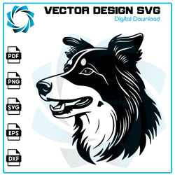 Border Collie SVG, Dog SVG, Border Collie PNG, Border Collie vector, Border Collie, Vector, SVG, Digital Files 3