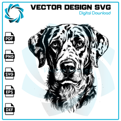 Dog Catahoula SVG, Dog SVG, Catahoula PNG, Catahoula vector, Catahoula, Vector, SVG, Digital Files