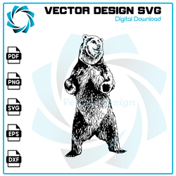 Bear SVG, Bear PNG, Bear Vector, Bear, SVG, PNG, EPS, digital download 24