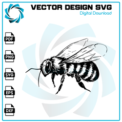 Bee SVG, Bee PNG, Bee Vector, Bee, SVG, PNG, EPS, digital download
