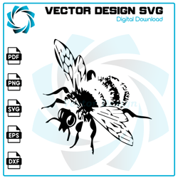 Bee SVG, Bee PNG, Bee Vector, Bee, SVG, PNG, EPS, digital download 2