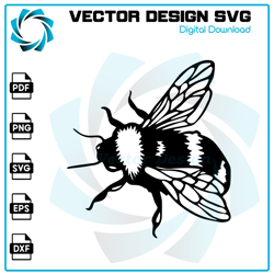 Bee SVG, Bee PNG, Bee Vector, Bee, SVG, PNG, EPS, digital download 4
