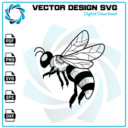 Bee SVG, Bee PNG, Bee Vector, Bee, SVG, PNG, EPS, digital download 8