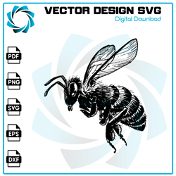 Bee SVG, Bee PNG, Bee Vector, Bee, SVG, PNG, EPS, digital download 14